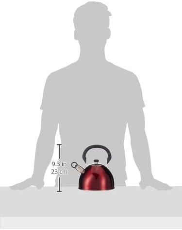 Mr Coffee Morbern 18 Quart Steel Whistling Kettle