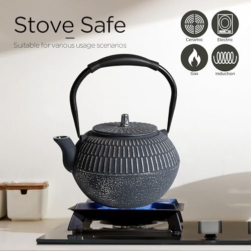 Safe Cast Iron Teapot