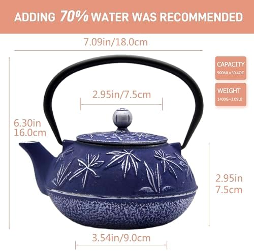 Cast Iron Tea Kettle with Stainless Steel Infuser