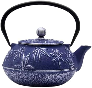 Cast Iron Tea Kettle with Stainless Steel Infuser