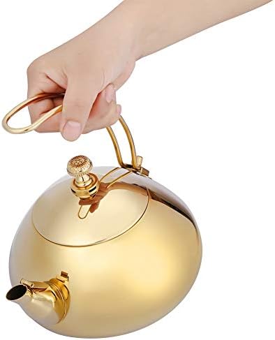 Fast-Heating Stainless Steel Teakettle for Brew_efficient Tea