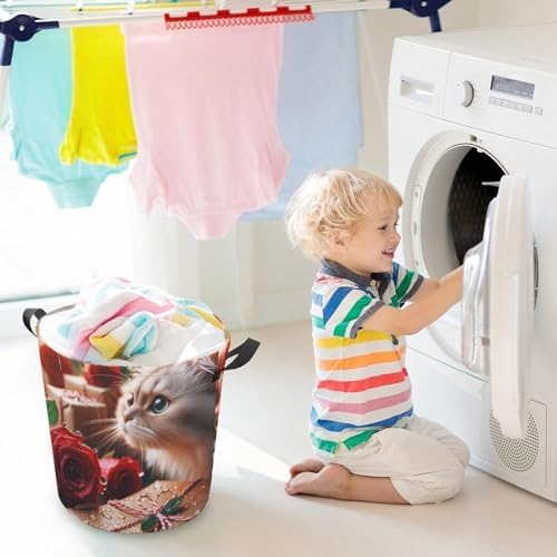 Raindrops Roses Cat Laundry Basket