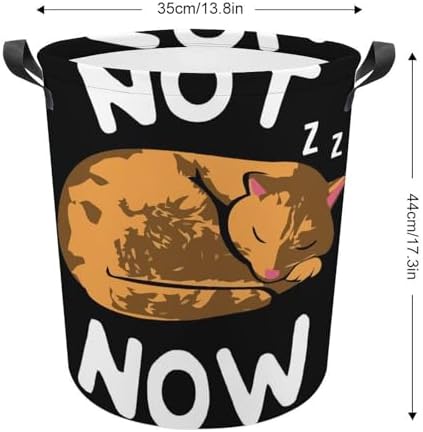 Cute Cat _lazy_ Laundry Basket Family and Travel-Friendly