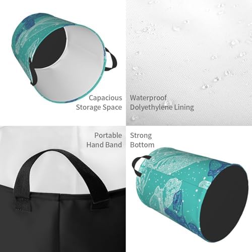 Secure Storage Solution for Your Laundry Perfect for Small Spaces