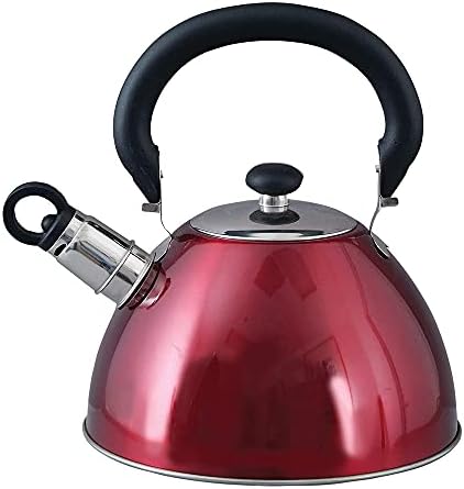 Mr Coffee Morbern 18 Quart Steel Whistling Kettle