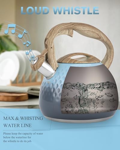 Hauce Radio Loud Whistle Tea Kettle 25QT