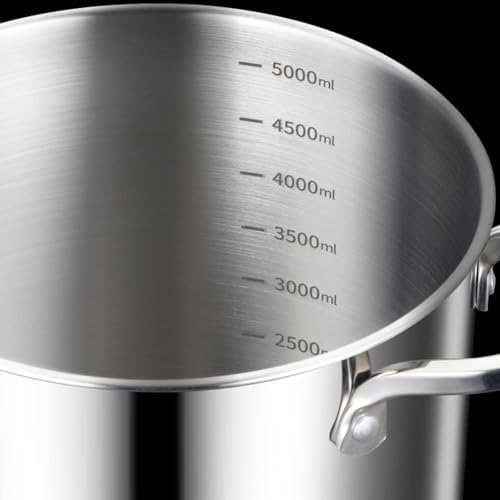 Bingwang 5L Pasta Pot with Glass Lid and Removable Basket