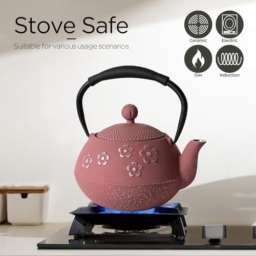 Cast Iron Tea Pot for Stove Eco-Friendly Feel