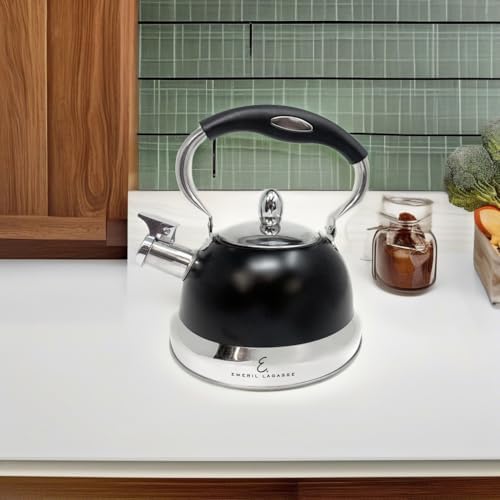 Sturdy stainless steel tea kettle BlackChrome