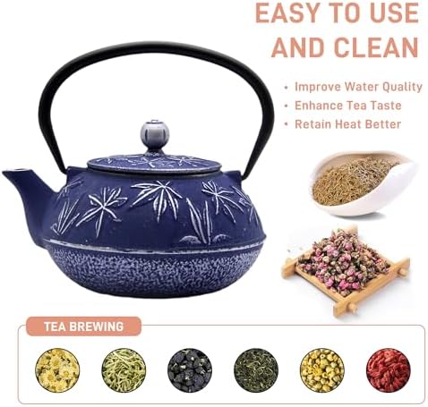 Cast Iron Tea Kettle with Stainless Steel Infuser