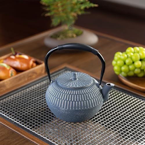 Safe Cast Iron Teapot