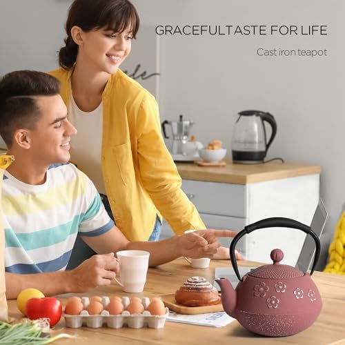 Cast Iron Tea Pot for Stove Eco-Friendly Feel