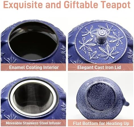 Cast Iron Tea Kettle with Stainless Steel Infuser