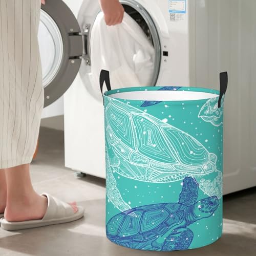 Secure Storage Solution for Your Laundry Perfect for Small Spaces