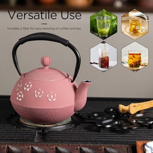 Cast Iron Tea Pot for Stove Eco-Friendly Feel