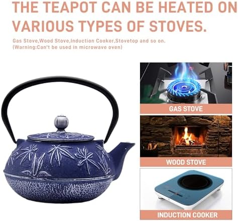 Cast Iron Tea Kettle with Stainless Steel Infuser
