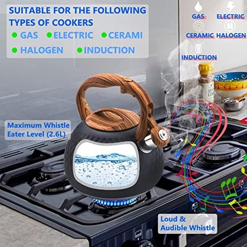 Stainless Steel Tea Kettle with Whistle for Home Use