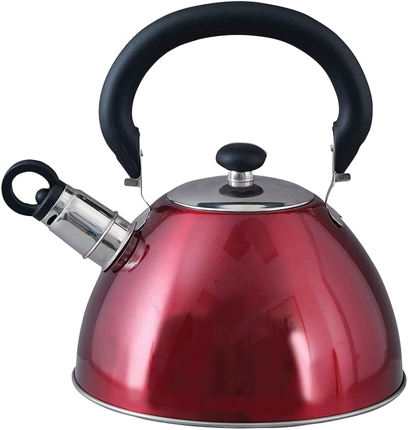 Mr Coffee Morbern 18 Quart Steel Whistling Kettle