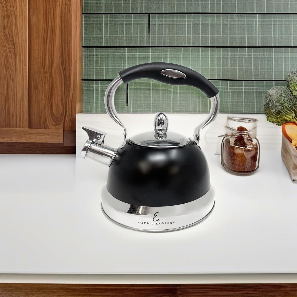 Sturdy stainless steel tea kettle BlackChrome