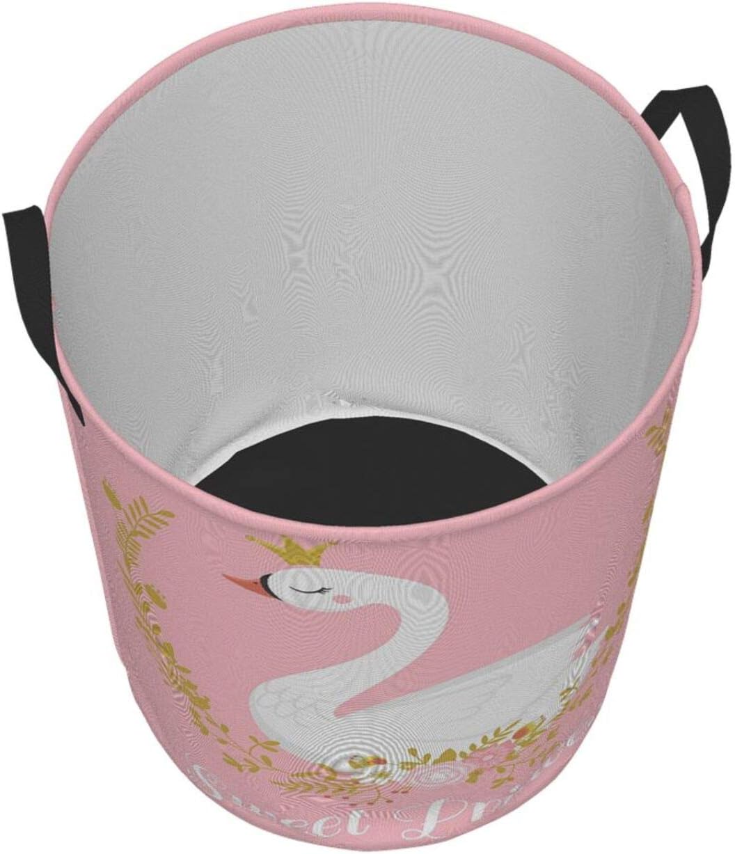 KiuLoam Cute Pharmacy Princess Laundry Basket