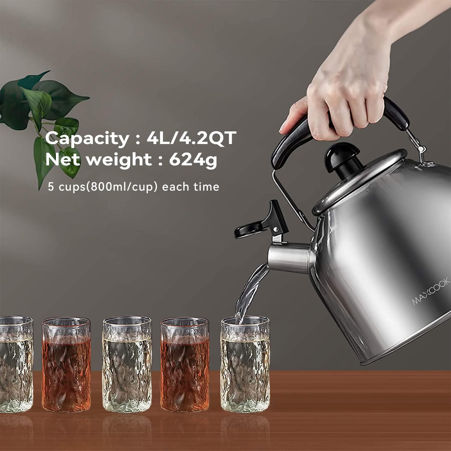 MAXCOOK Stainless Steel Whistling Tea Kettle Boiling Water