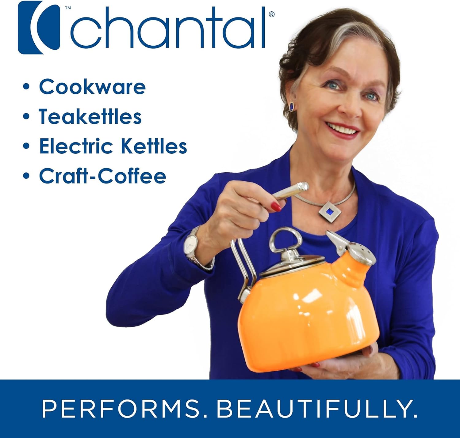 Chantal Steamer Pasta Insert 6 Quart 210 Stainless Steel