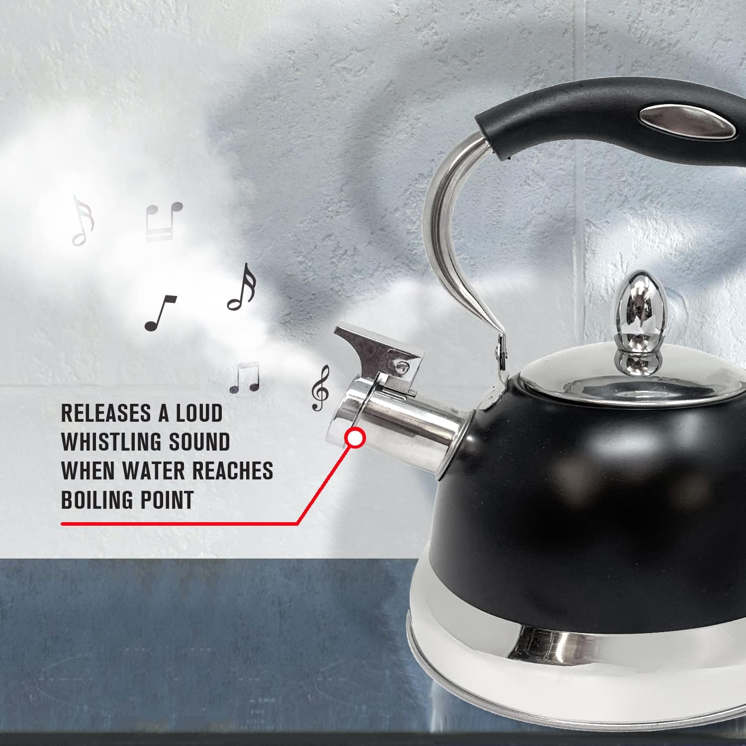 Sturdy stainless steel tea kettle BlackChrome
