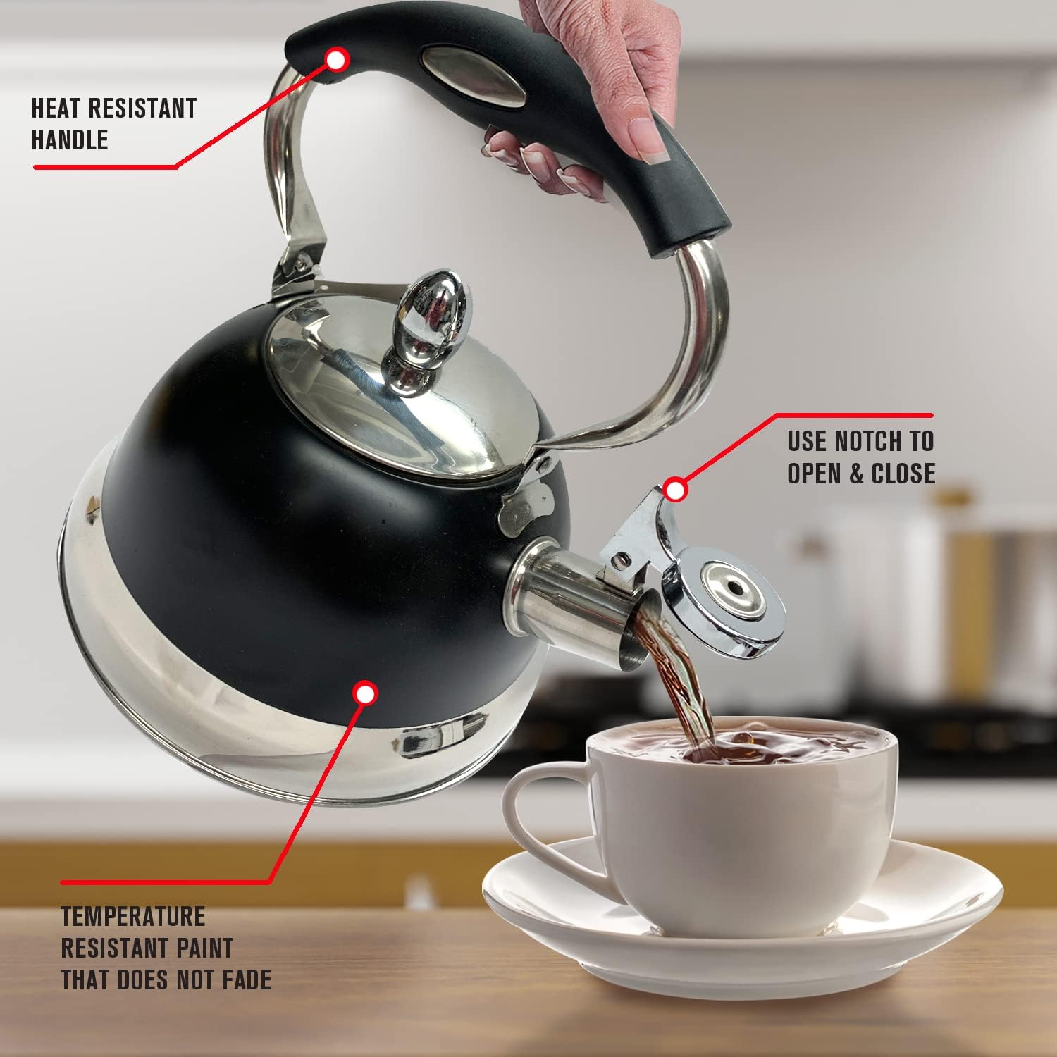 Sturdy stainless steel tea kettle BlackChrome