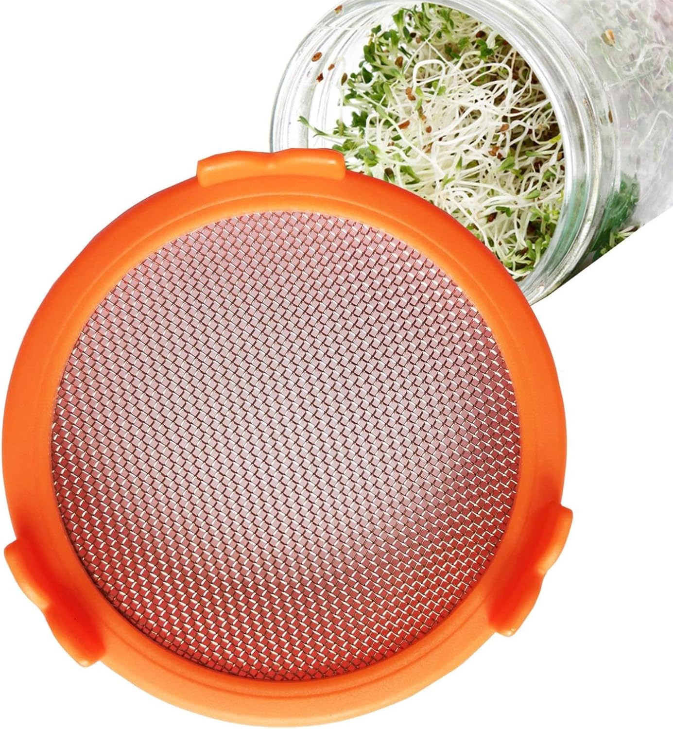 ESEICO Morrison Wide Mouth Mason Jar Sprouting Lid