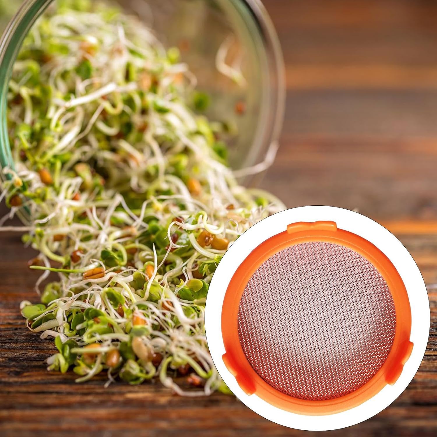 Reusable Mason Jar Sprout Lid Easy Durable Eco-Friendly