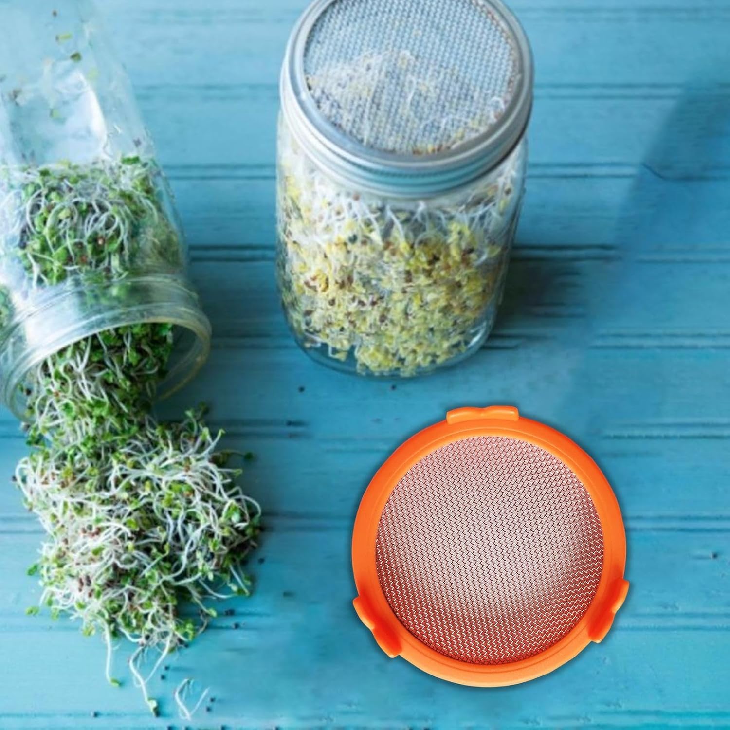 Reusable Mason Jar Sprout Lid Easy Durable Eco-Friendly